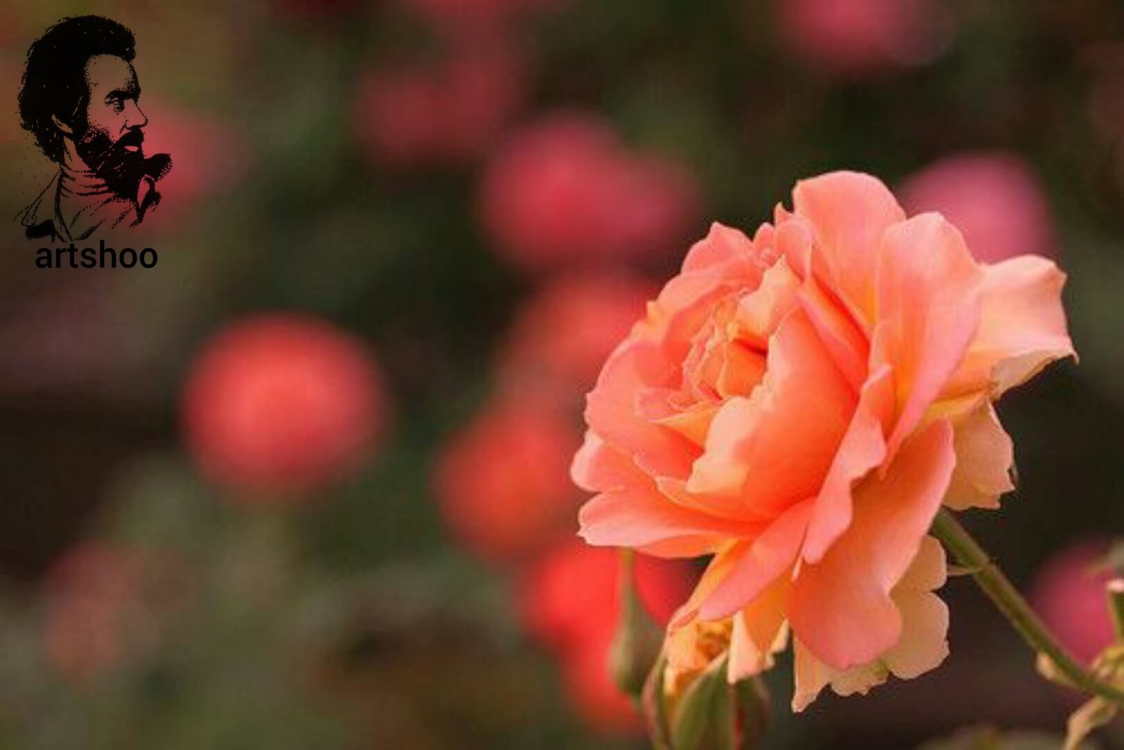 آموزش نقاشی رنگ روغن